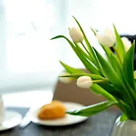Hafenspitze App 27 Appartement Wißmar